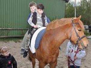 Kinder mit Pferden stark machen