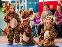 Zirkusprojekt LiLaLu 2016